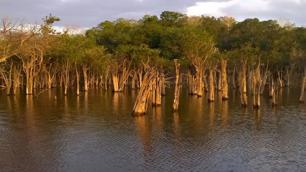 Pousada Recanto Maguary Alter do Chão Dış mekan fotoğraf