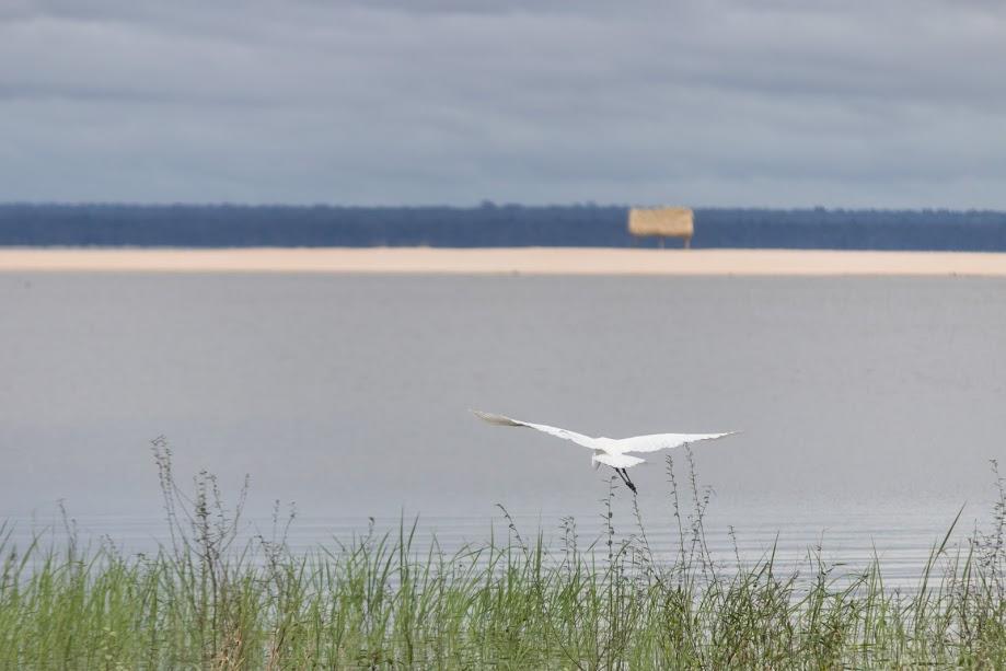 Pousada Recanto Maguary Alter do Chão Dış mekan fotoğraf