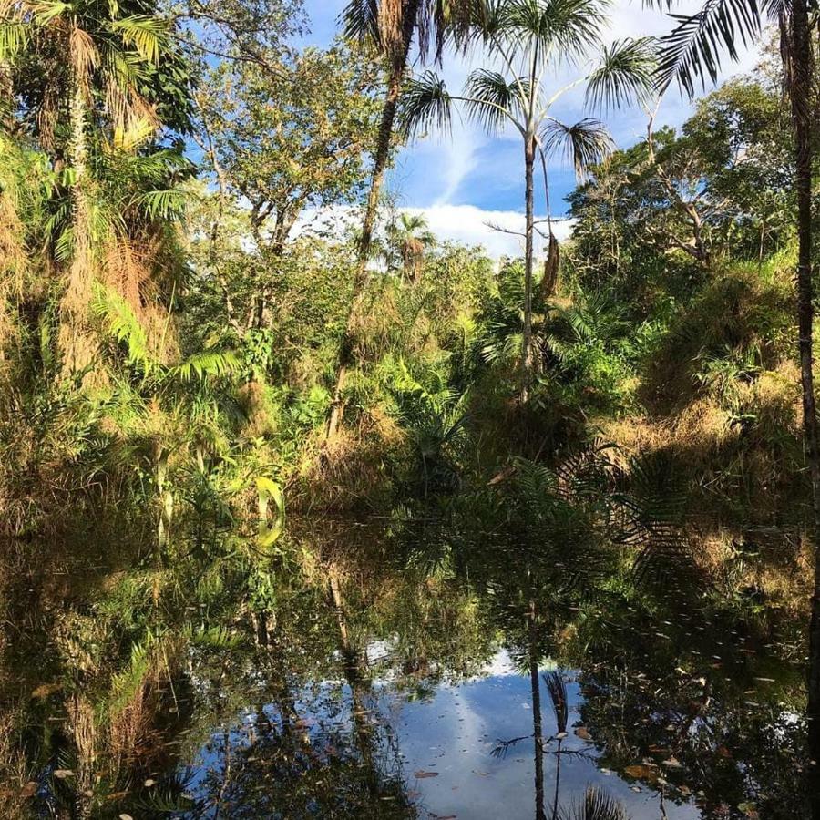 Pousada Recanto Maguary Alter do Chão Dış mekan fotoğraf